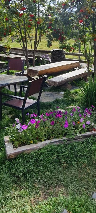 Guest House Shina Omalo Екстер'єр фото
